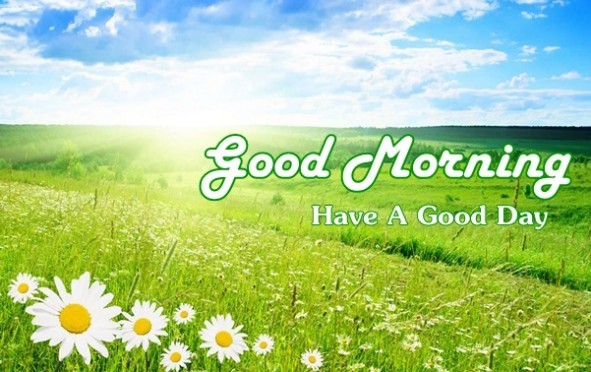 Good Morning wishes Shayari In Hindi