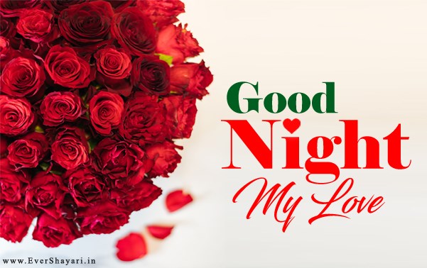Romantic Hindi Good Night Shayari For Girlfriend Boyfriend